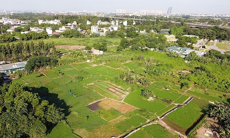 anh-30-1785238461.jpg