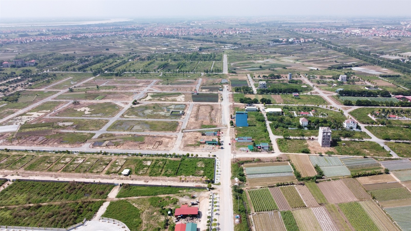 anh-32-1785239251.jpg