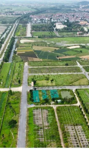 Sửa Luật Đất đai: Nghiên cứu cơ chế Nhà nước mua lại dự án dang dở